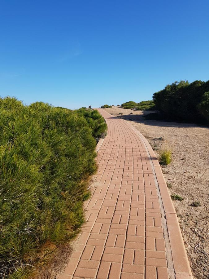 Torrevieja, La Mata 1 Bedroom Apartment المظهر الخارجي الصورة