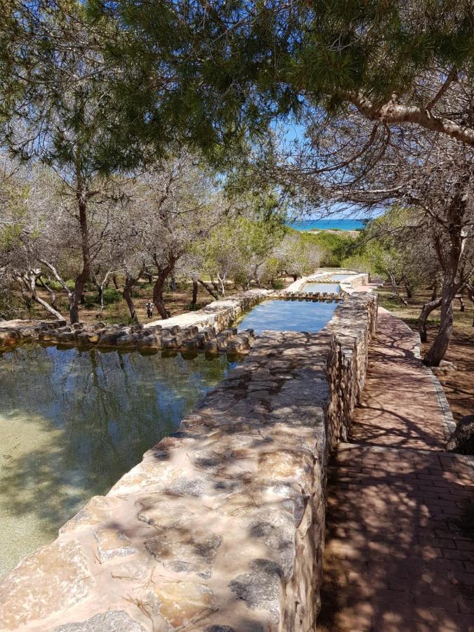 Torrevieja, La Mata 1 Bedroom Apartment المظهر الخارجي الصورة